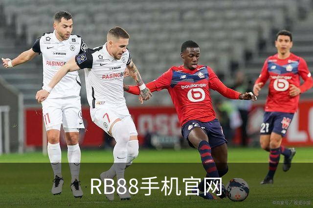 RB88手机官网公司简介图